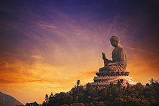 Hong Kong New Lantau Walking Tour cruise excursion